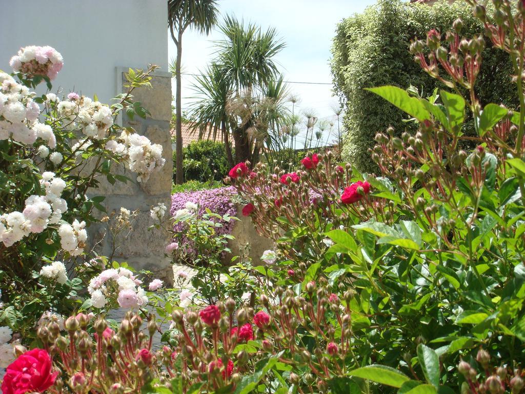 Casa De Hospedes Flor Do Jardim Malveira Bagian luar foto